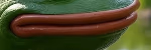 LIP PEPE