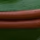 LIP PEPE