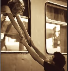 项目媒体占位符