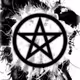 MetaShapeshifters