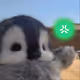 Penguin and dandelion & Abstract