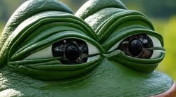 AISE-PEPE
