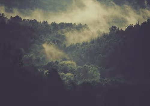 SIVENWQZ