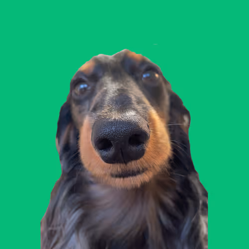 weiner pfp