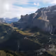 Wilderwill
