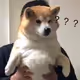 bsgn rrg