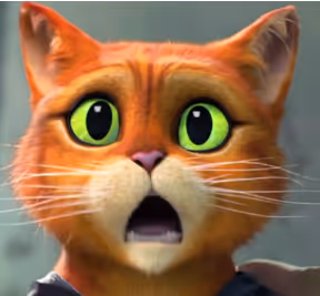 CAT-CAT