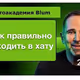 BLUM_ABS