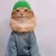 cat with hat