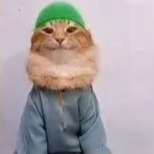 cat with hat