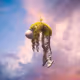Fly in ball