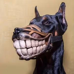 Abstract Dogs