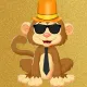 The Cool Monkey