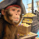 SEA MONKEY