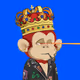 Apes Baby Chain