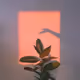 Psyora