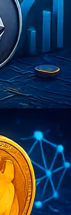 ShinyWizards