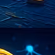 ShinyWizards