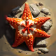 Solitary Starfish