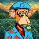 The Apekeepers #961