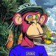 The Apekeepers #1304