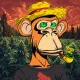 The Apekeepers #859