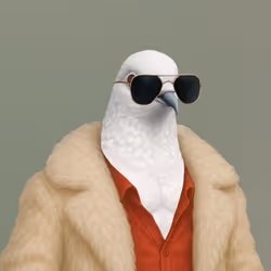 675