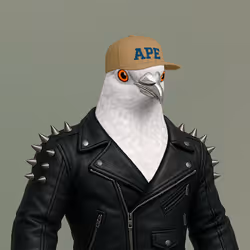429