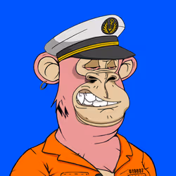 254
