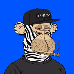 566