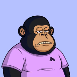 Fat Ape #276