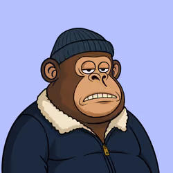 Fat Ape #991