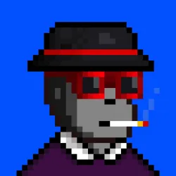 Code Monkeez #1288