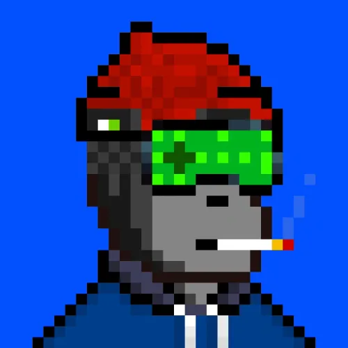 Code Monkeez #1255