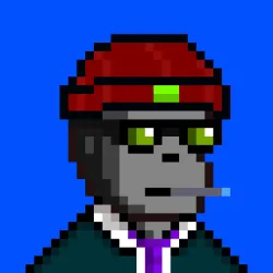 Code Monkeez #1107