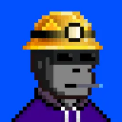 Code Monkeez #3818