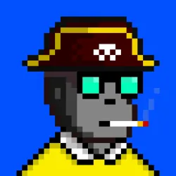 Code Monkeez #4569