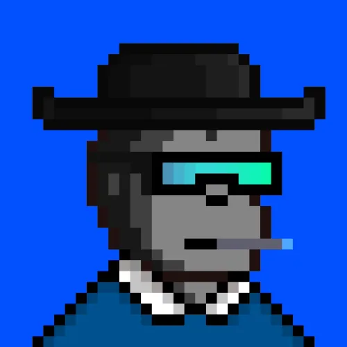 Code Monkeez #1013