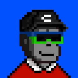 Code Monkeez #3813