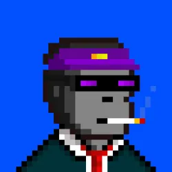 Code Monkeez #4719