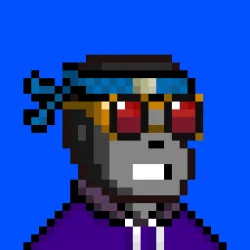 Code Monkeez #1619