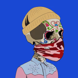 ApeSkulls Ape #166