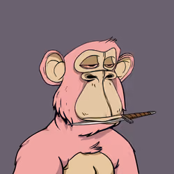 4026