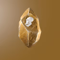 Item Media