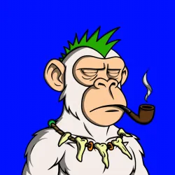 Not Another Ape Club #1691