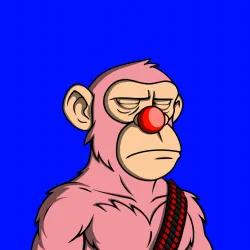Not Another Ape Club #7340