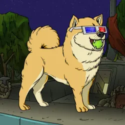 55