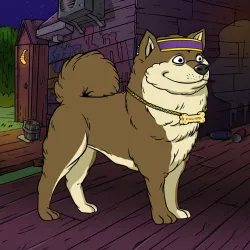 585