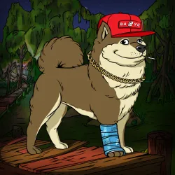 521