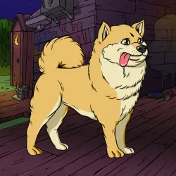 339